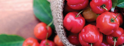 Acerola – skydas nuo šaltojo sezono atnešamų sveikatos problemų. Ar prisimenate kodėl?