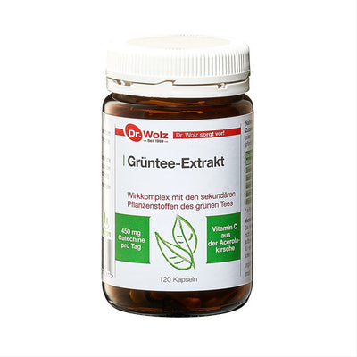Dr. Wolz Grüntee-Extrakt kapsulės N120