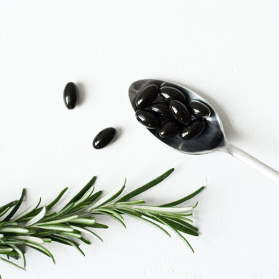 DR. OHHIRA STANDART gerosios bakterijos, kapsulės N30