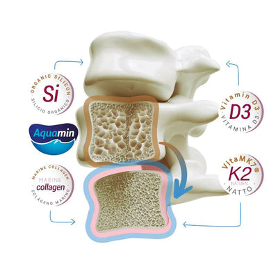 CALCIUM‘ASIMIL K2 + D3 su saldikliu, milteliai N30