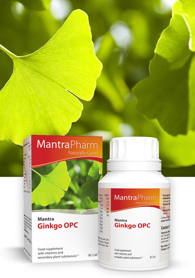 MANTRA Ginkgo OPC kapsulės N90