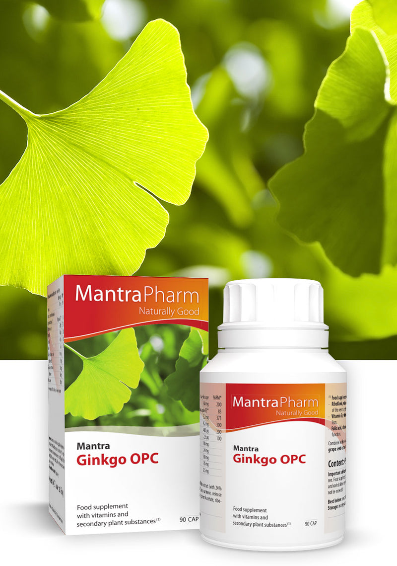 MANTRA Ginkgo OPC kapsulės N90, nuotrauka Nr. 1