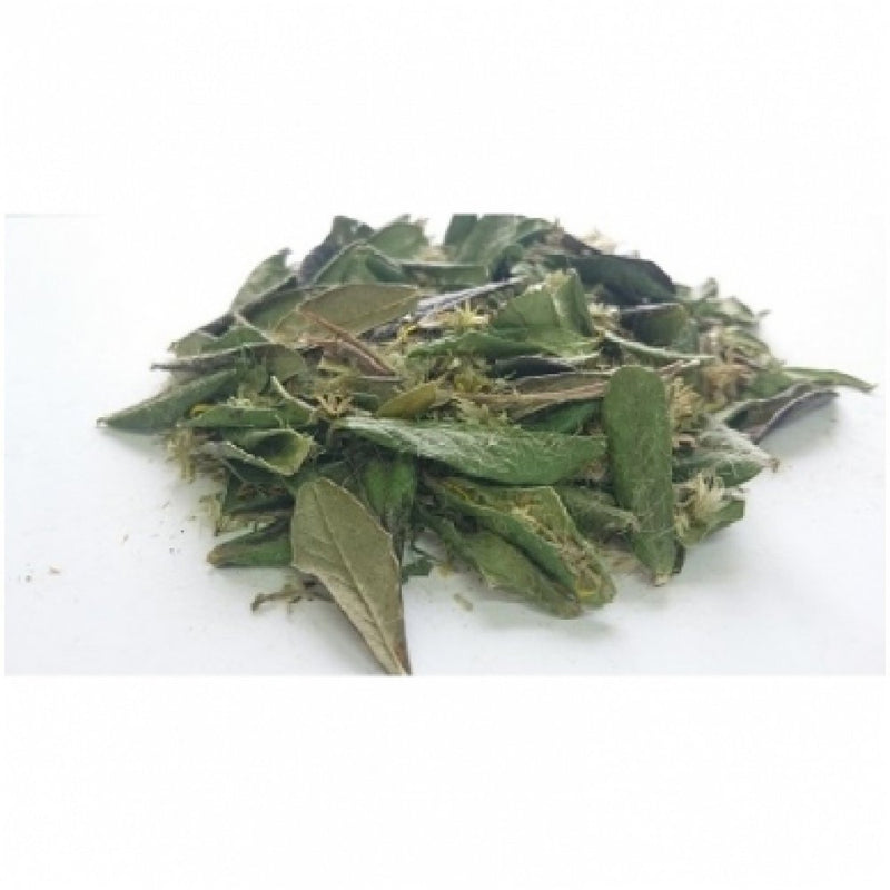 Ekologiška žolelių arbata Nr.38 Šlapimo takams-1 40g, nuotrauka Nr. 1